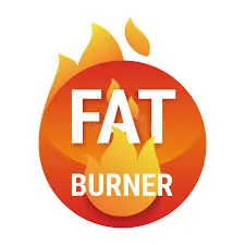 Accelerate Fat Burning Metabolism Icon